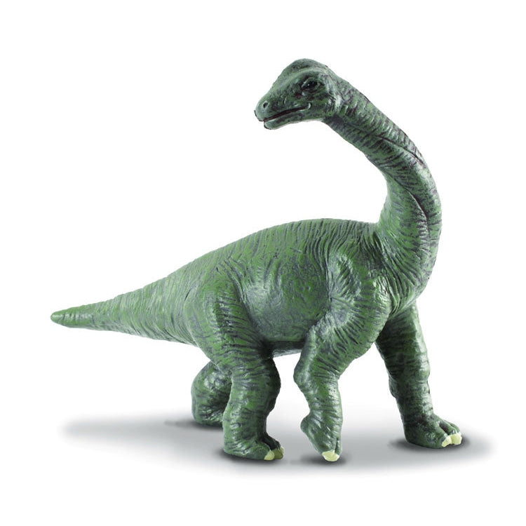 דינוזאורים - ברכיוזאורוס (S) Default Title