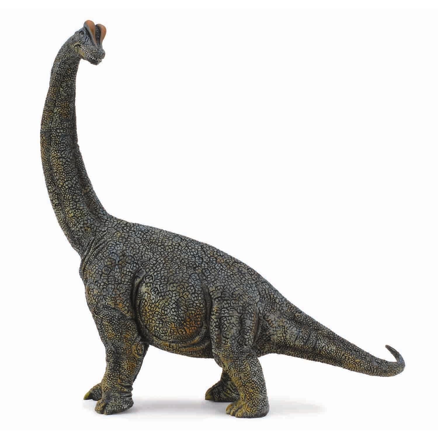 דינוזאורים - ברכיוזאורוס ( מהודר, 1:40) Default Title