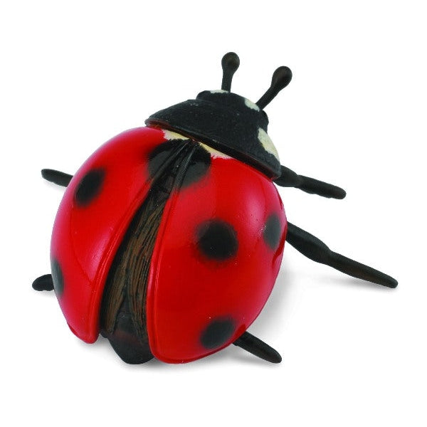 חיות קטנות - חיפושית פרת משה רבנו (M) Default Title