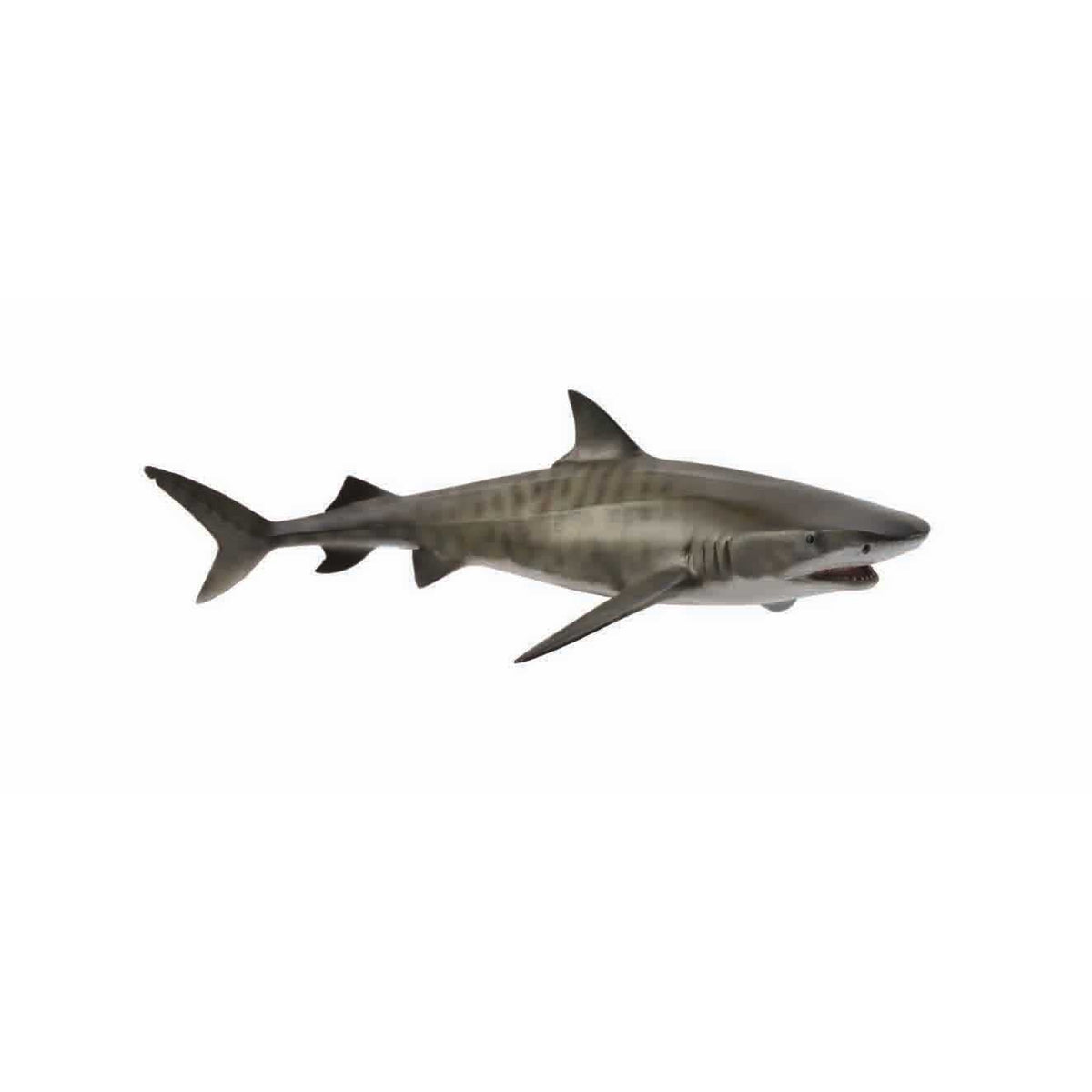 חיות אוקיאנוסים וקרח - כריש טיגריסי (L) Default Title