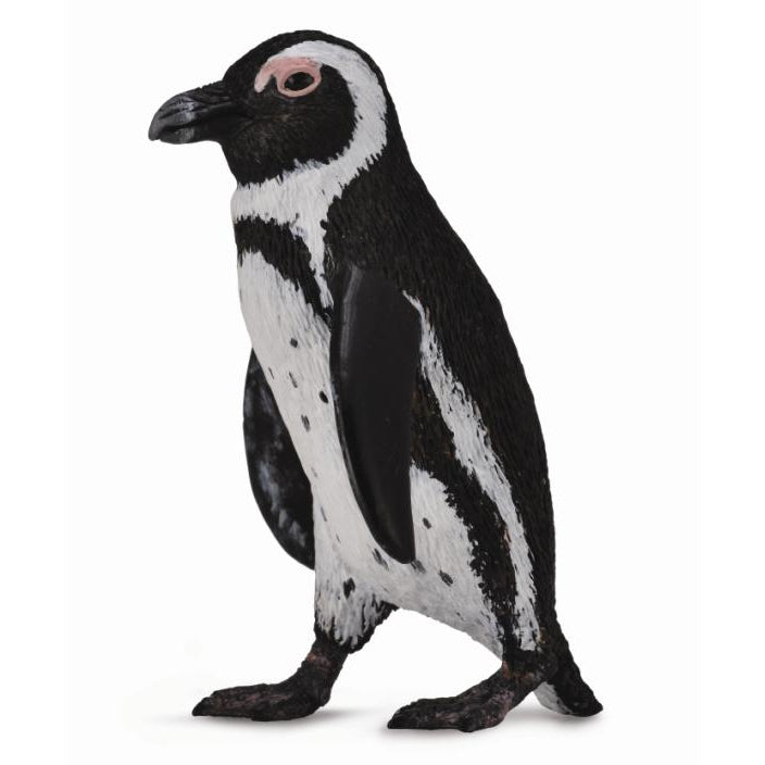 חיות אוקיאנוסים וקרח - פינגווין שחור-רגל (S) Default Title