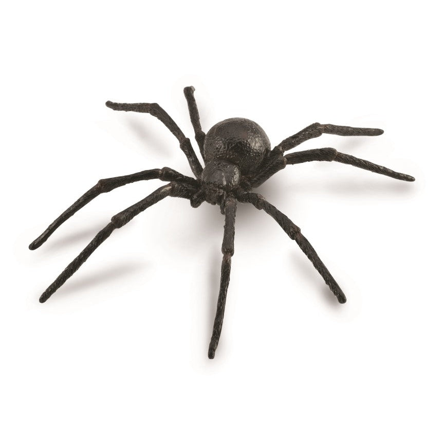 חיות קטנות -  עכביש האלמנה השחורה (L) Default Title
