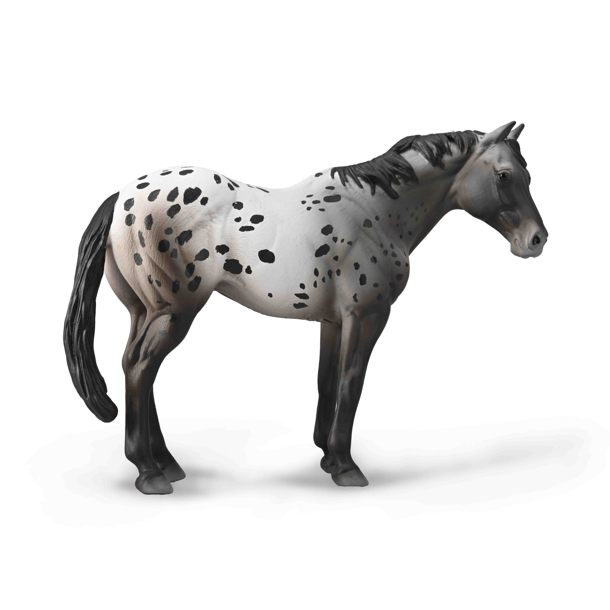 חיות, עולם הסוסים -  אפלוסה (XL)  Blue Roan