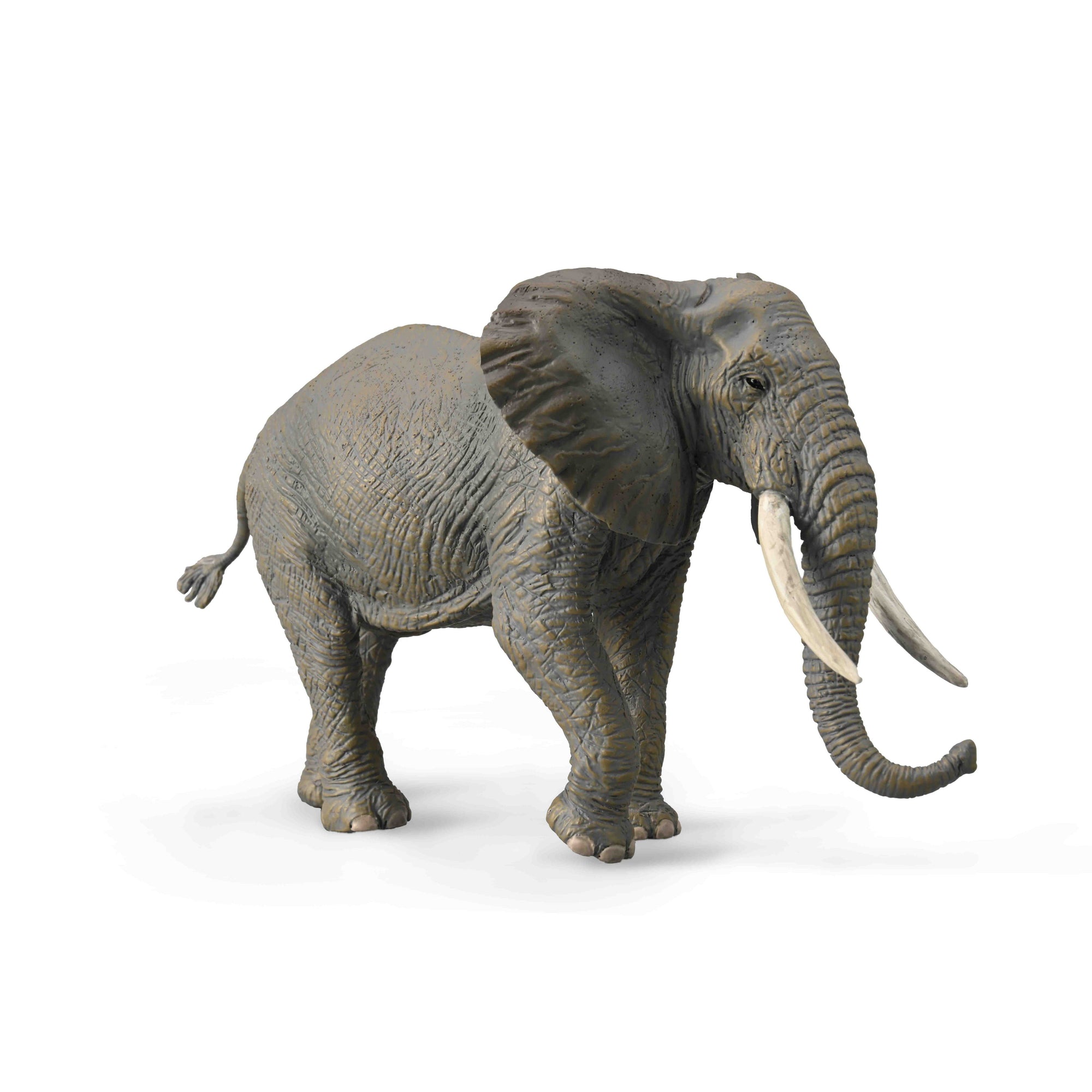חיות בר - פיל אפריקני (XL)