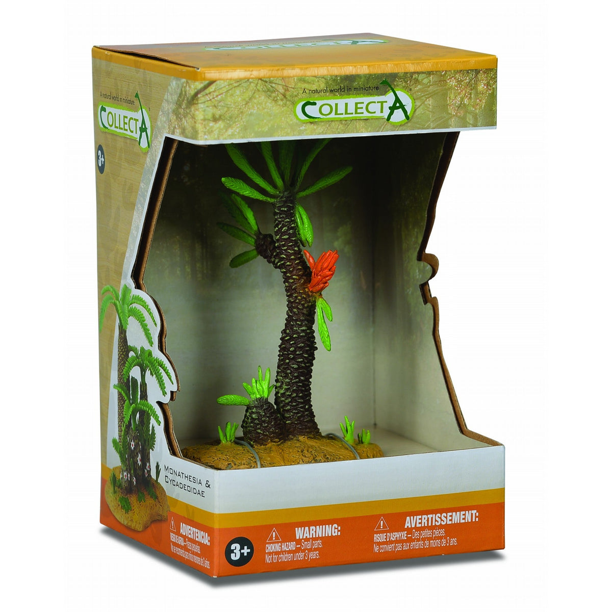 עולם החי, עצים - (פרה-היסטורי) וויליאמסוניה Default Title