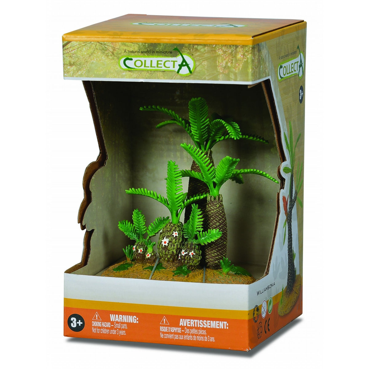 עולם החי, עצים - ( פרה-היסטורי) מונטסיה ו -סיקדיאודיאה Default Title