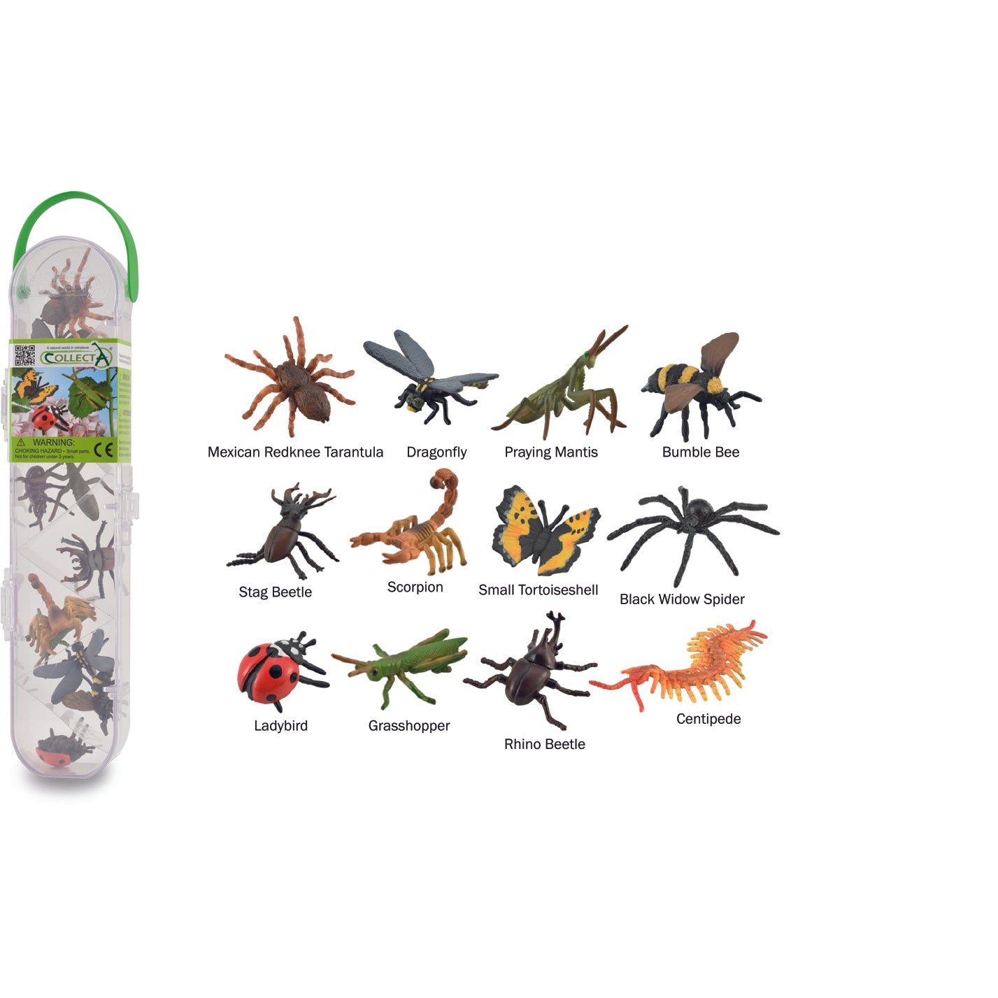 עולם החי מארז - חרקים & עכבישים (12 חיות) Default Title