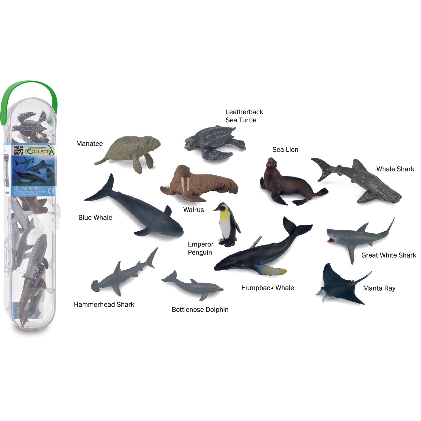 עולם החי מארז - חיות ים 1 ( 12 חיות) Default Title