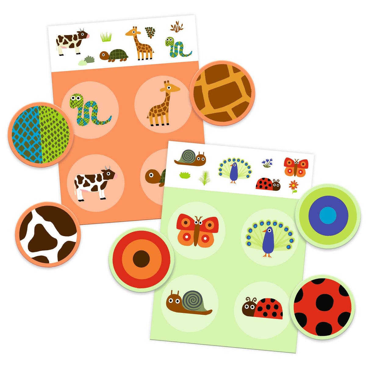 לוטו   - מי מזהה את החיה? Default Title