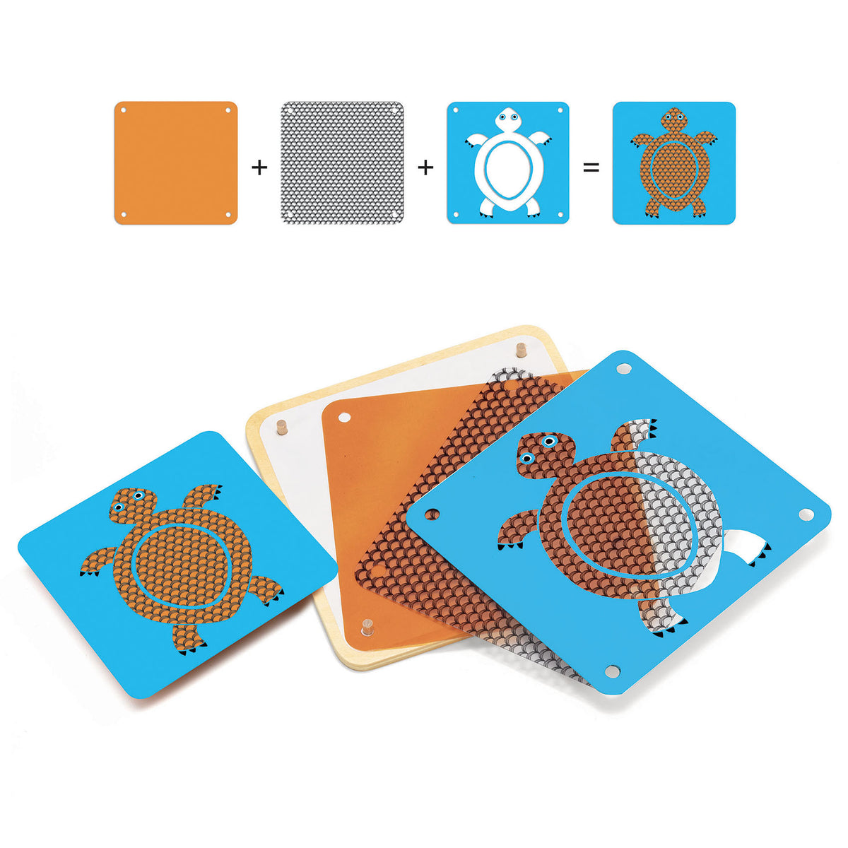 לימודי אנימולוג&#39;יק - תמונה בשכבות Default Title