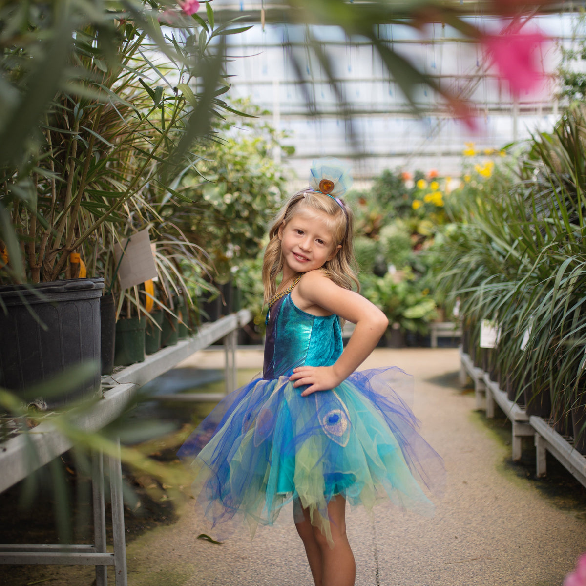 תחפושת 5/6 - טווס מהודר ( כולל קשת) Default Title