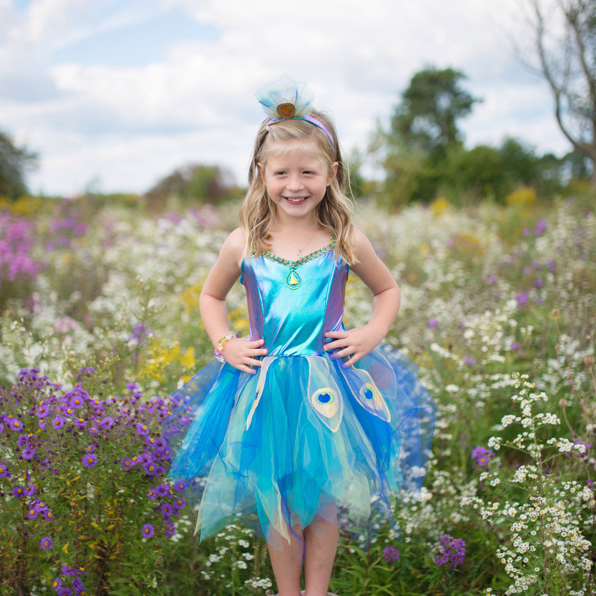 תחפושת 5/6 - טווס מהודר ( כולל קשת) Default Title