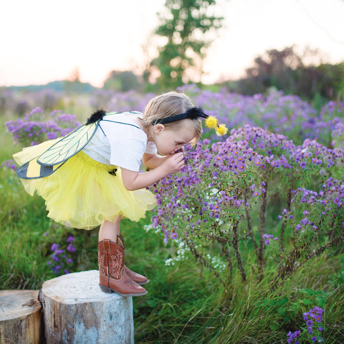 תחפושת 4/7 - דבורה (חצאית, כנפיים וקשת) Default Title