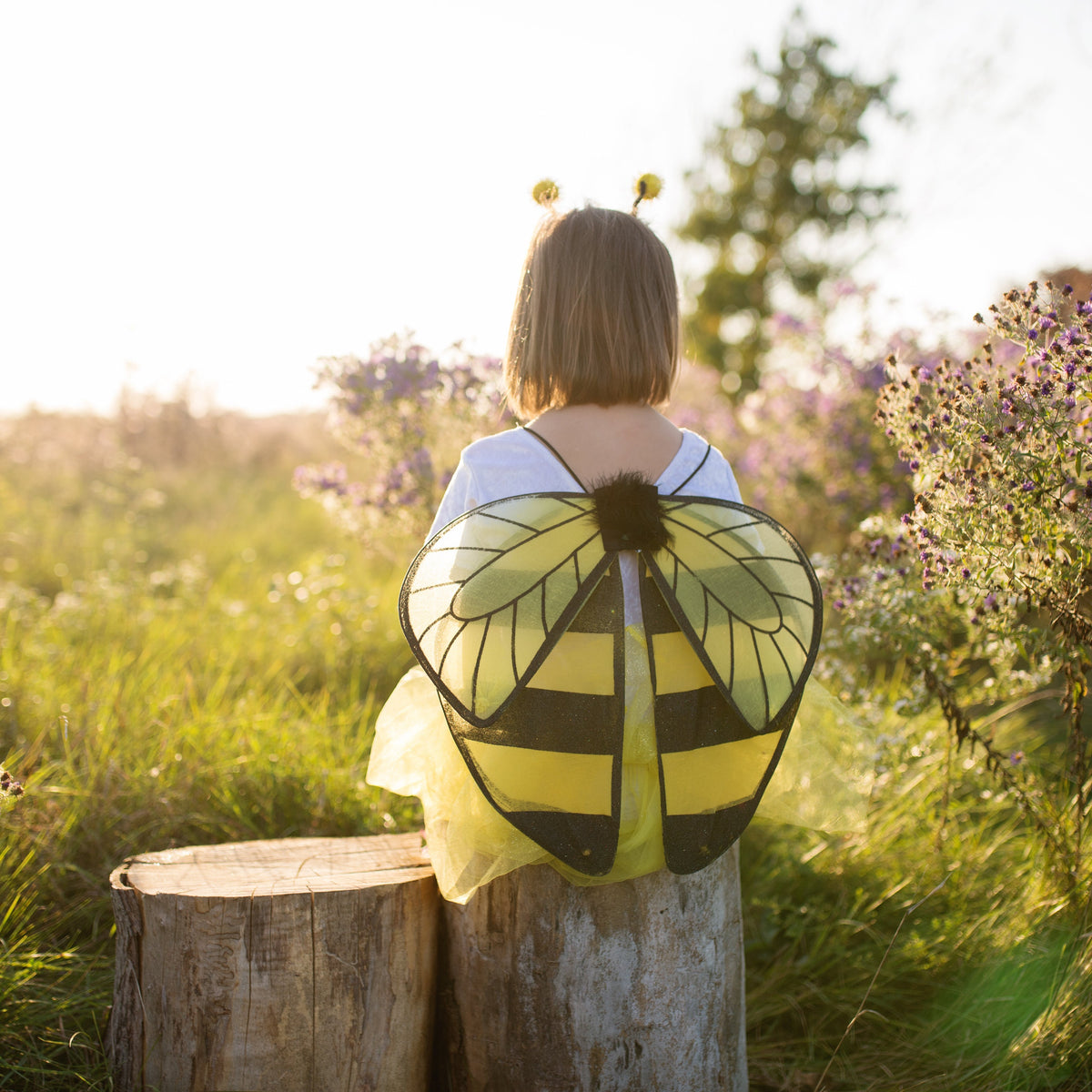 תחפושת 4/7 - דבורה (חצאית, כנפיים וקשת) Default Title