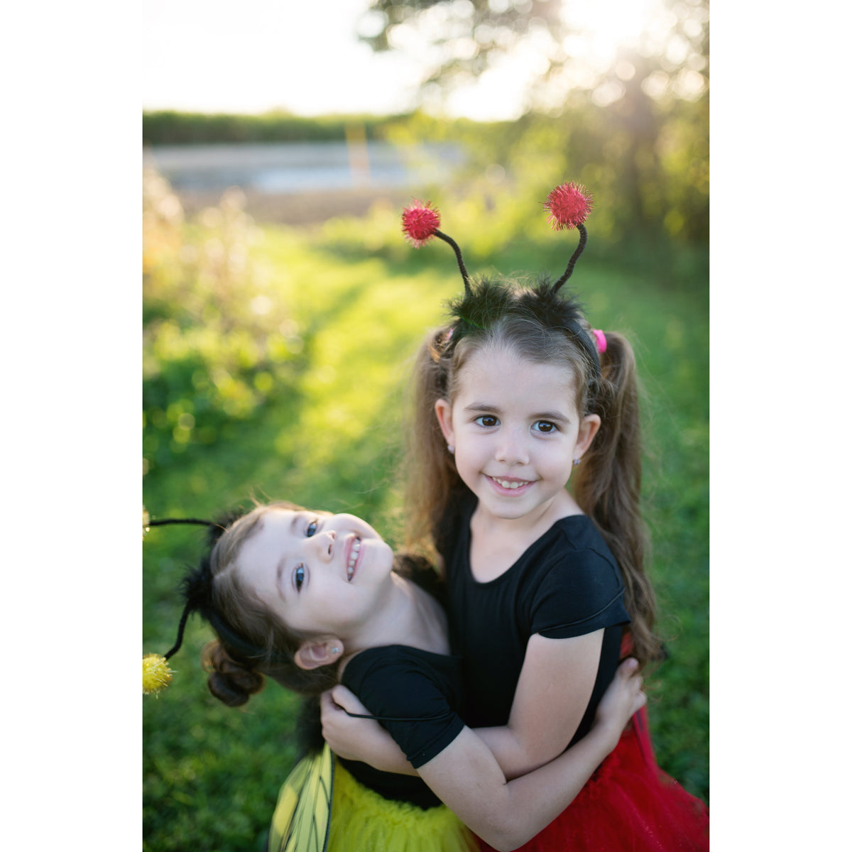 תחפושת 4/7 - חיפושית (חצאית, כנפיים וקשת) Default Title