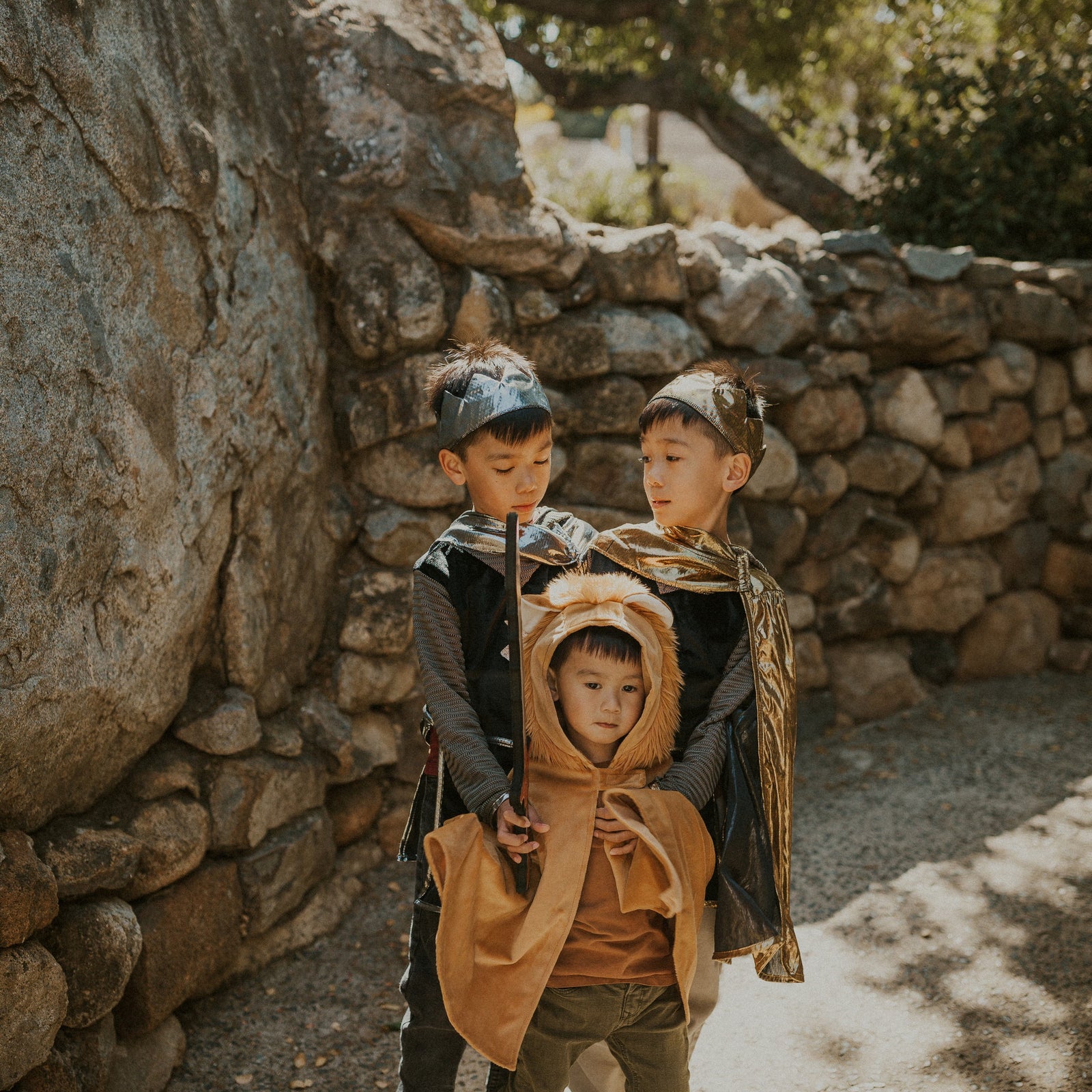 תחפושת 2/3 - גלימת אריה קטנטנים Default Title