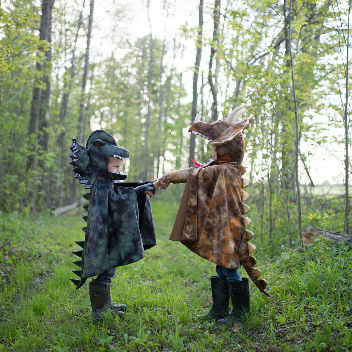 תחפושת 4/6 - גלימת דילופוזאורוס עם טפרים Default Title