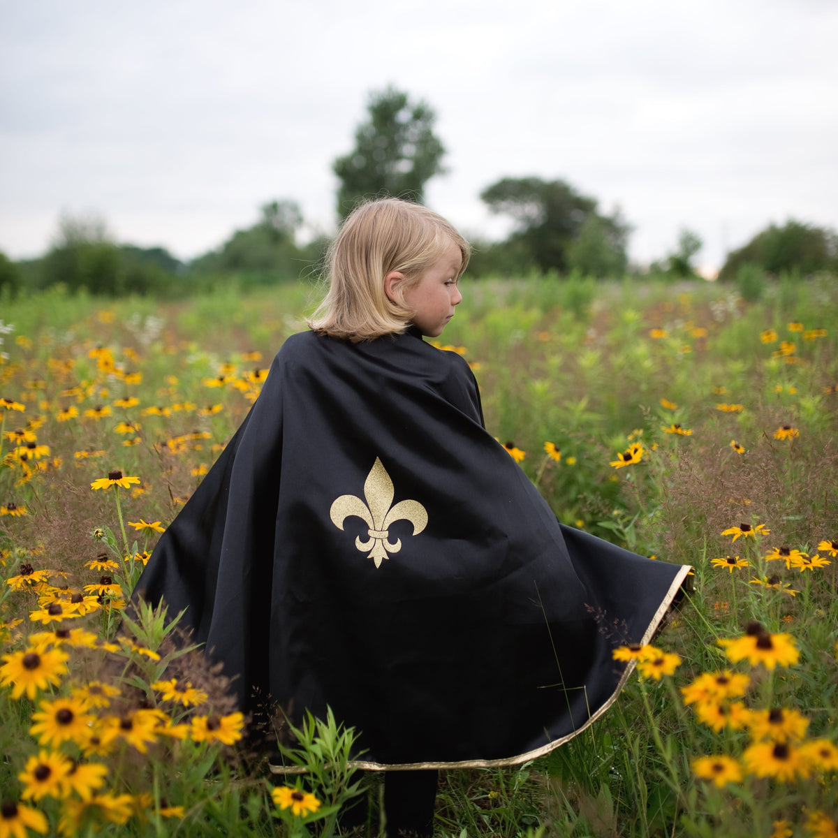 תחפושת 5/6 - גלימה פלור דה ליס Default Title