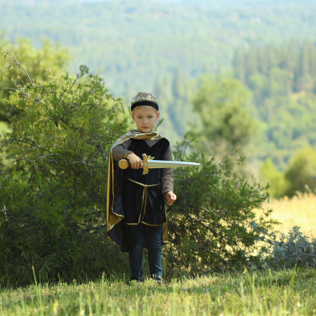 תחפושת 5/6 - טוניקת אביר מוזהבת Default Title