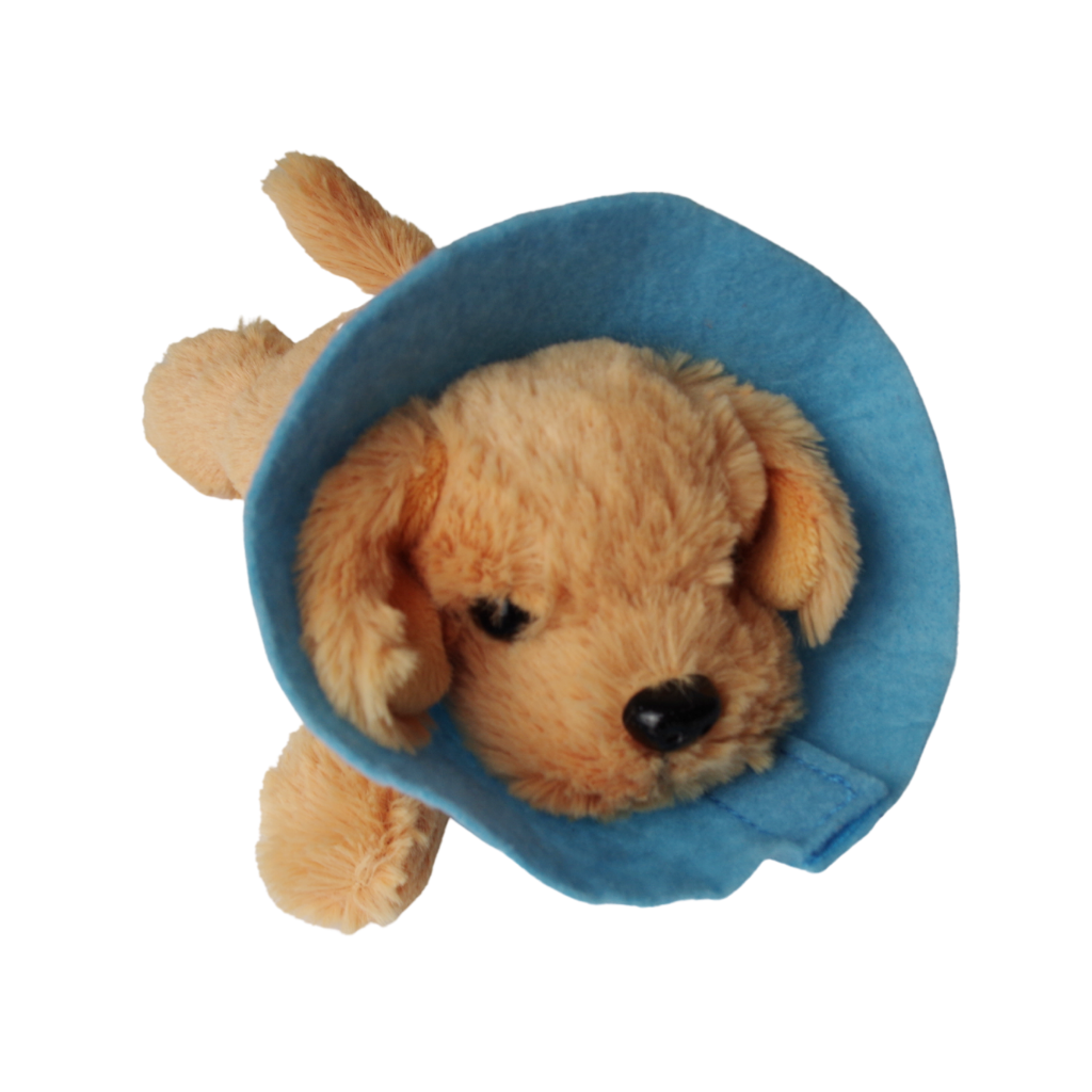 תחפושת 5/6 - וטרינר/ית Default Title