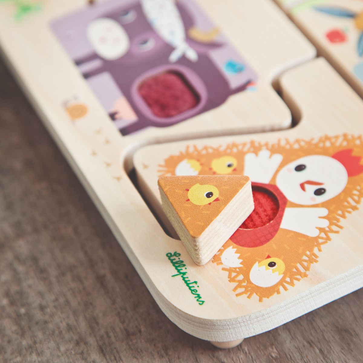 מבוך חושי - חווה Default Title