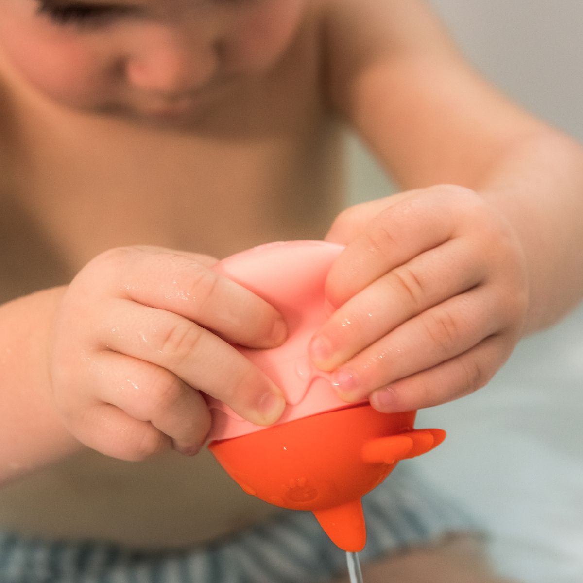 אמבטיה - מזרקה פאולה התרנגולת Default Title