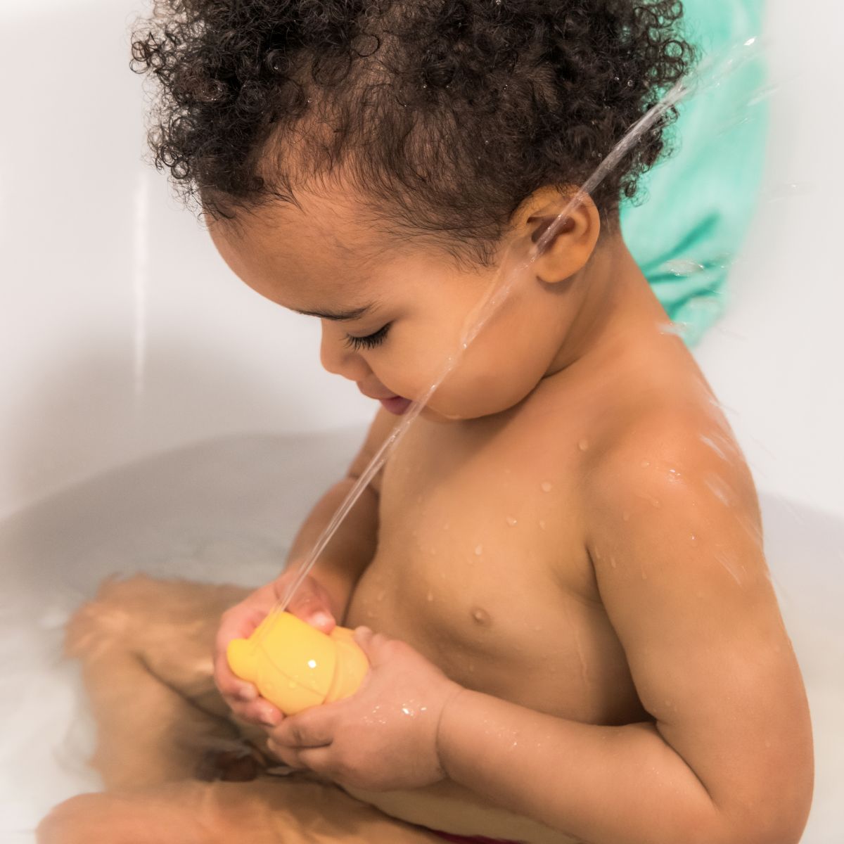 אמבטיה - מזרקה גאספרד הברווז Default Title