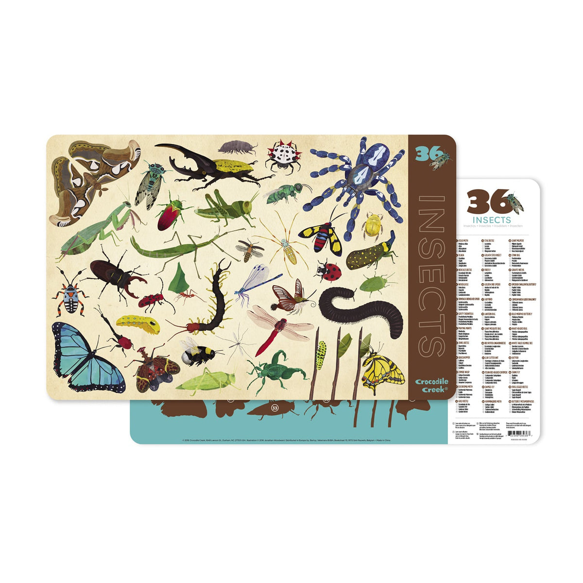 פלייסמט - אכול ולמד חרקים