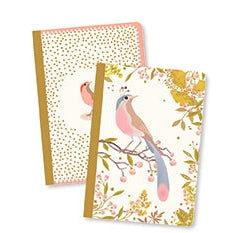 מחברות X2 - טינו