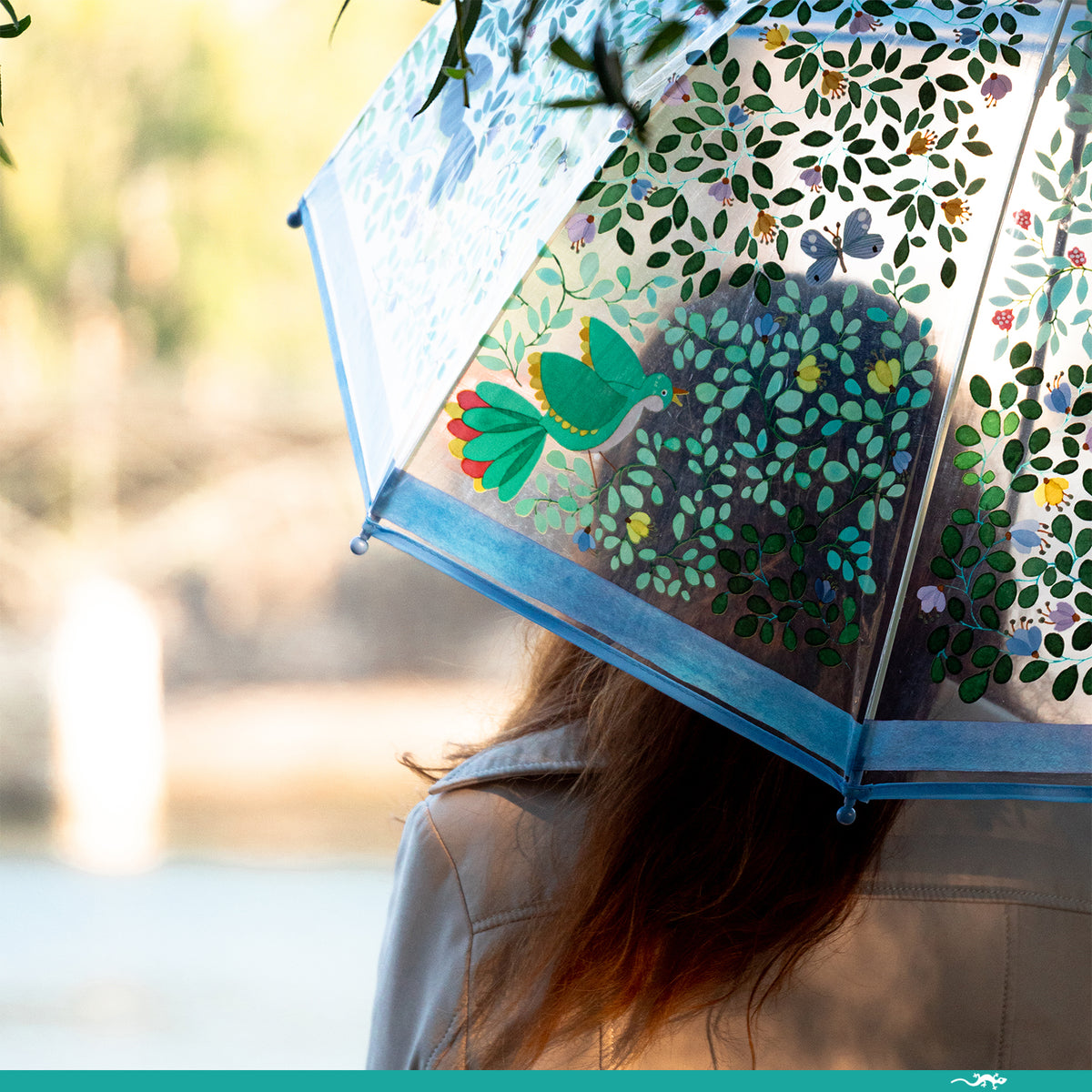 מטריה לגדולות - ציפורי חופש