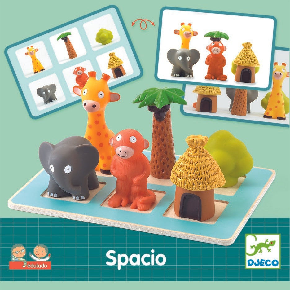 לימודי - הבנת המרחב ספארי