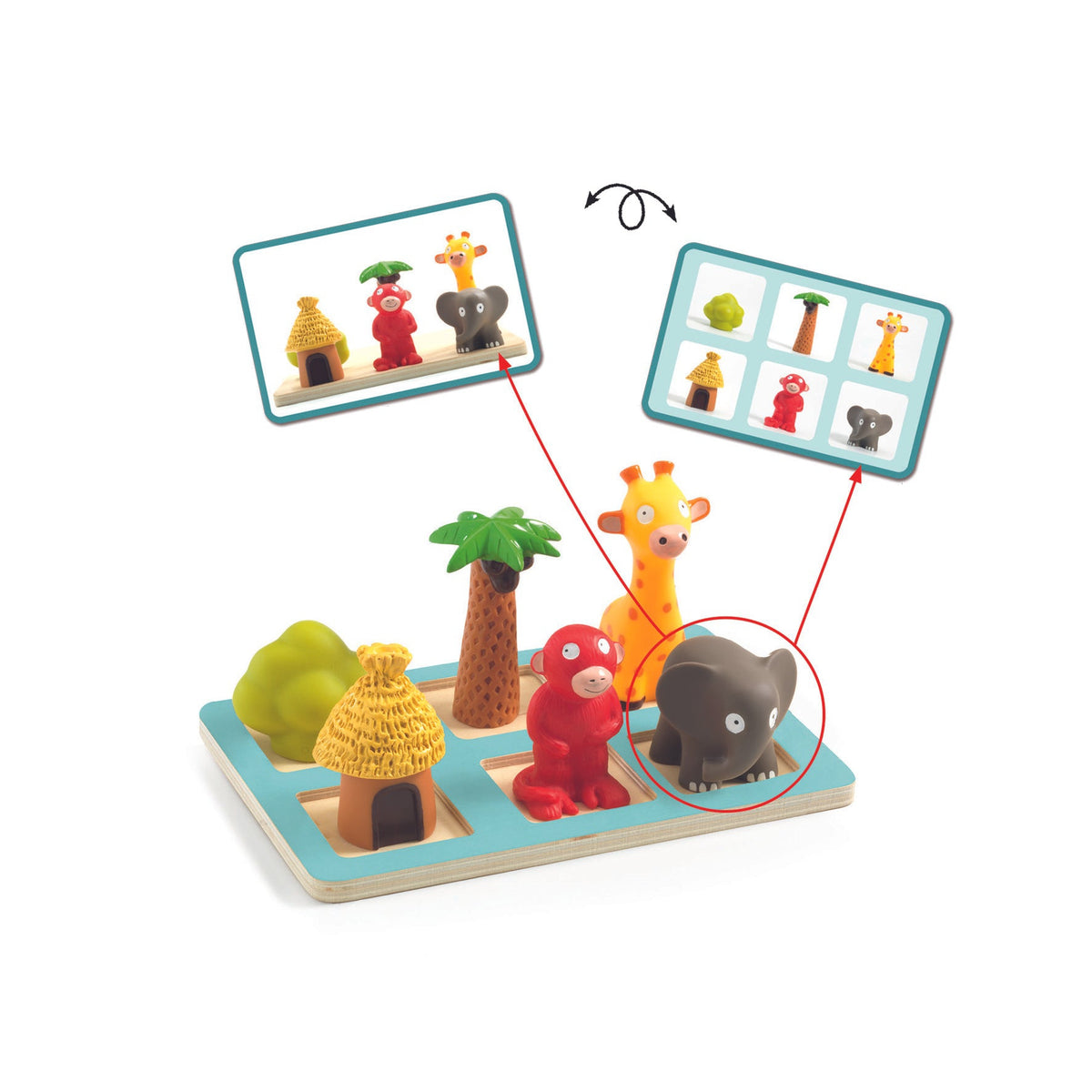 לימודי - הבנת המרחב ספארי