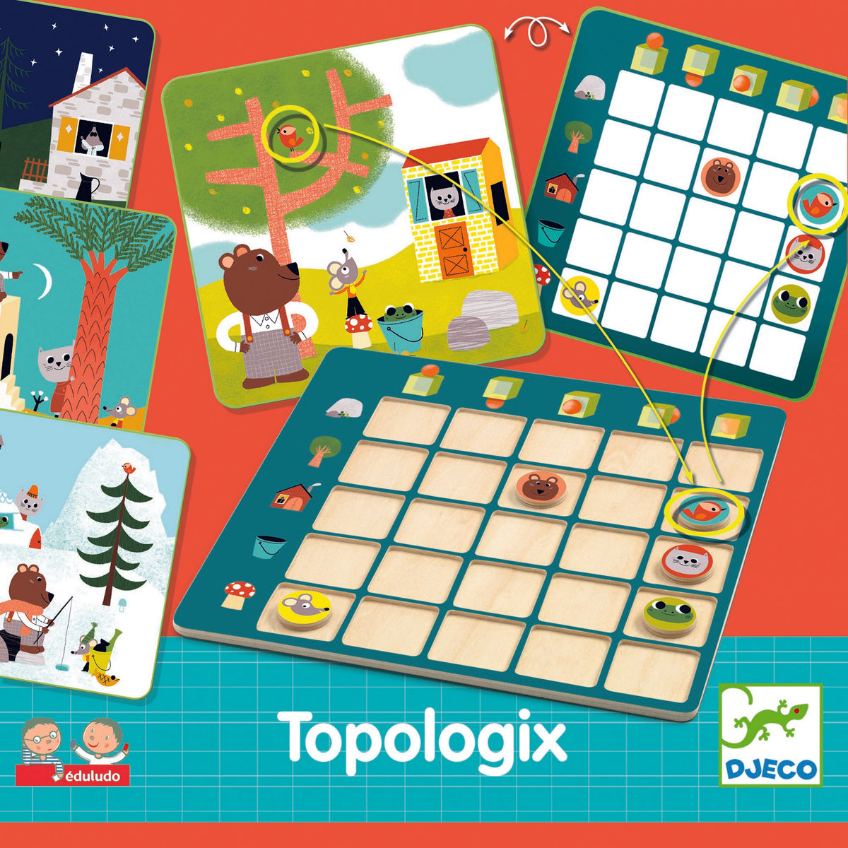 לימודי - טופולוג&#39;יק