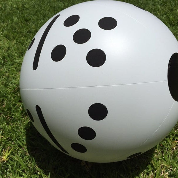 כדור ים- קוביה