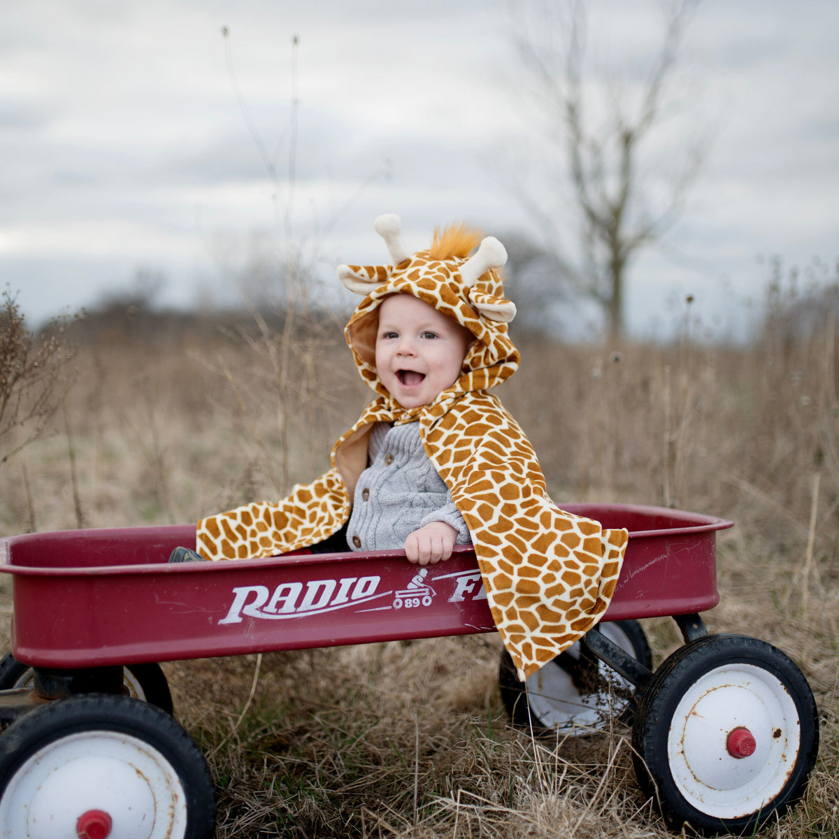 תחפושת 2/3 - בייבי ג'ירפה