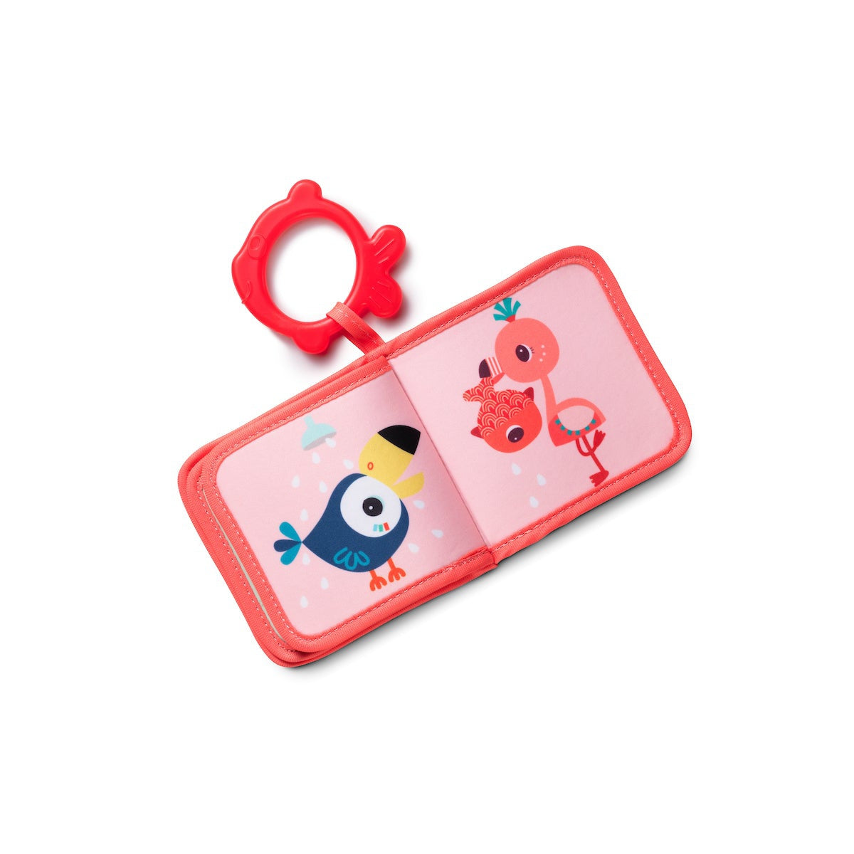 ספרון אמבטיה עם נשכן - אנאיס פלמינגו