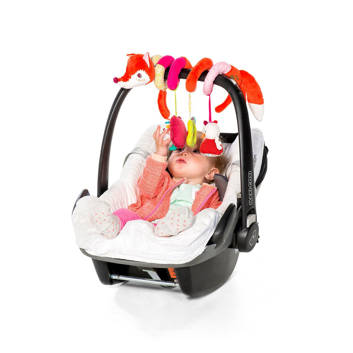 ספירלת פעילות - אליס השועל